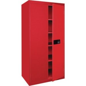 2 Door Metal Premier Collection Storage Cabinet