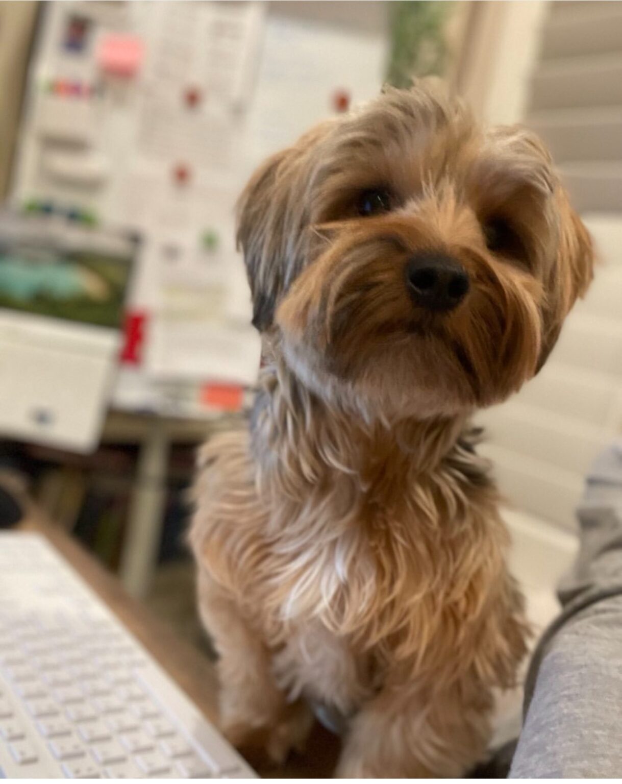 Leo PC NJ Office Furniture Depot